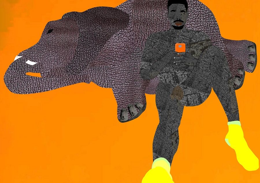 ELEPHANT IN THE ROOM (Osinachi, 2019)